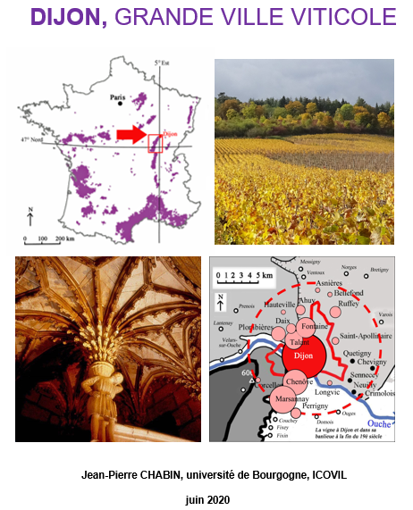 5. DIJON, Grande Ville Viticole