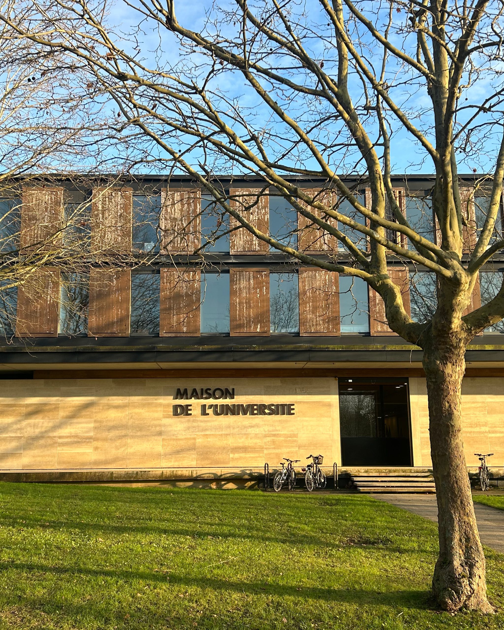 ICOVIL_Post_META_Archi_MdU2